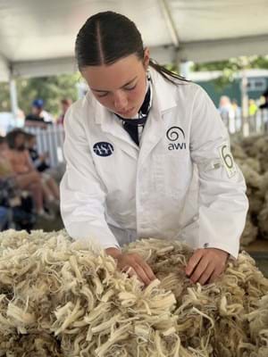 Jocelyn Cafe - Merino Fleece Young Judge